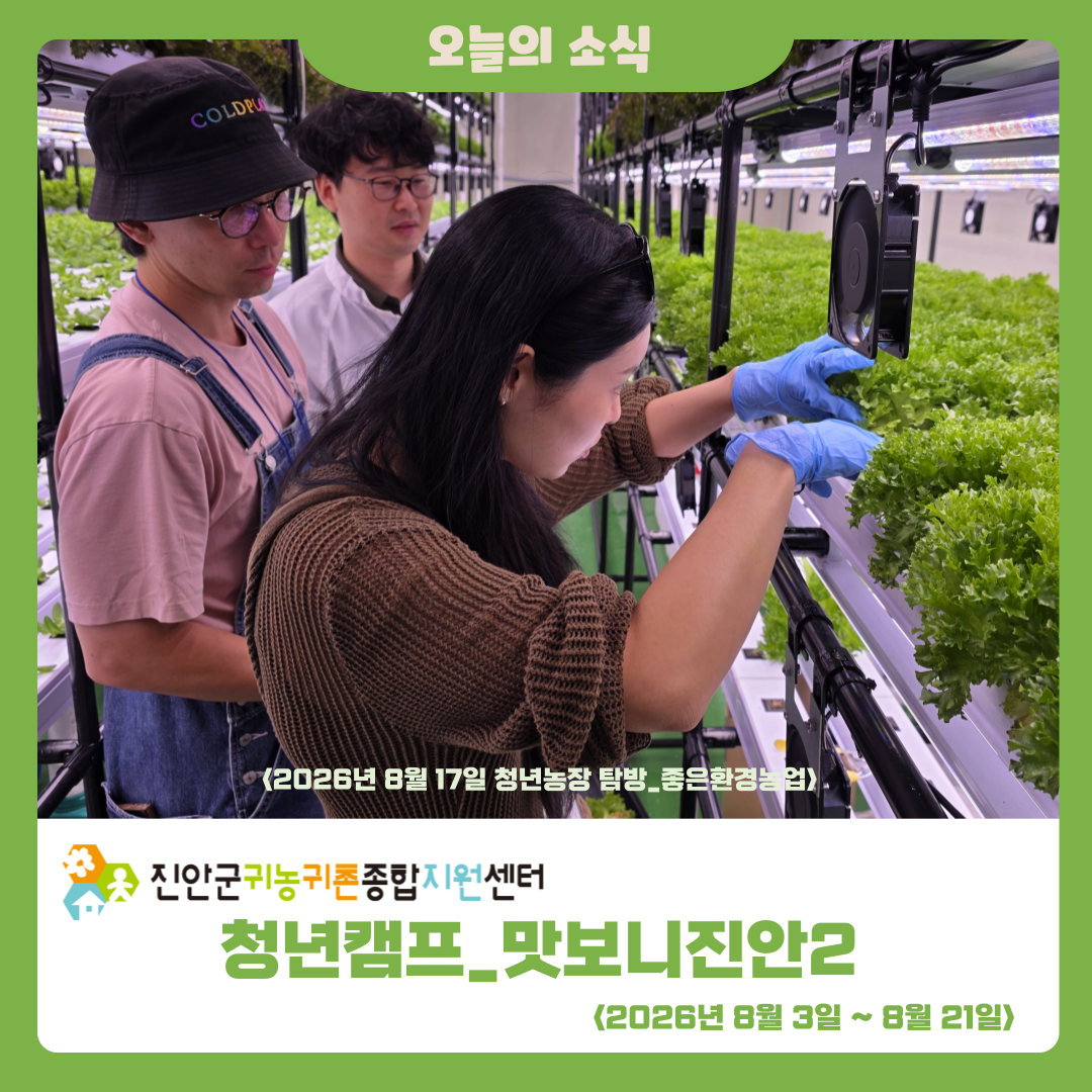 2026년 청년캠프 ‘맛보니진안2’ 3주차 활동 소식