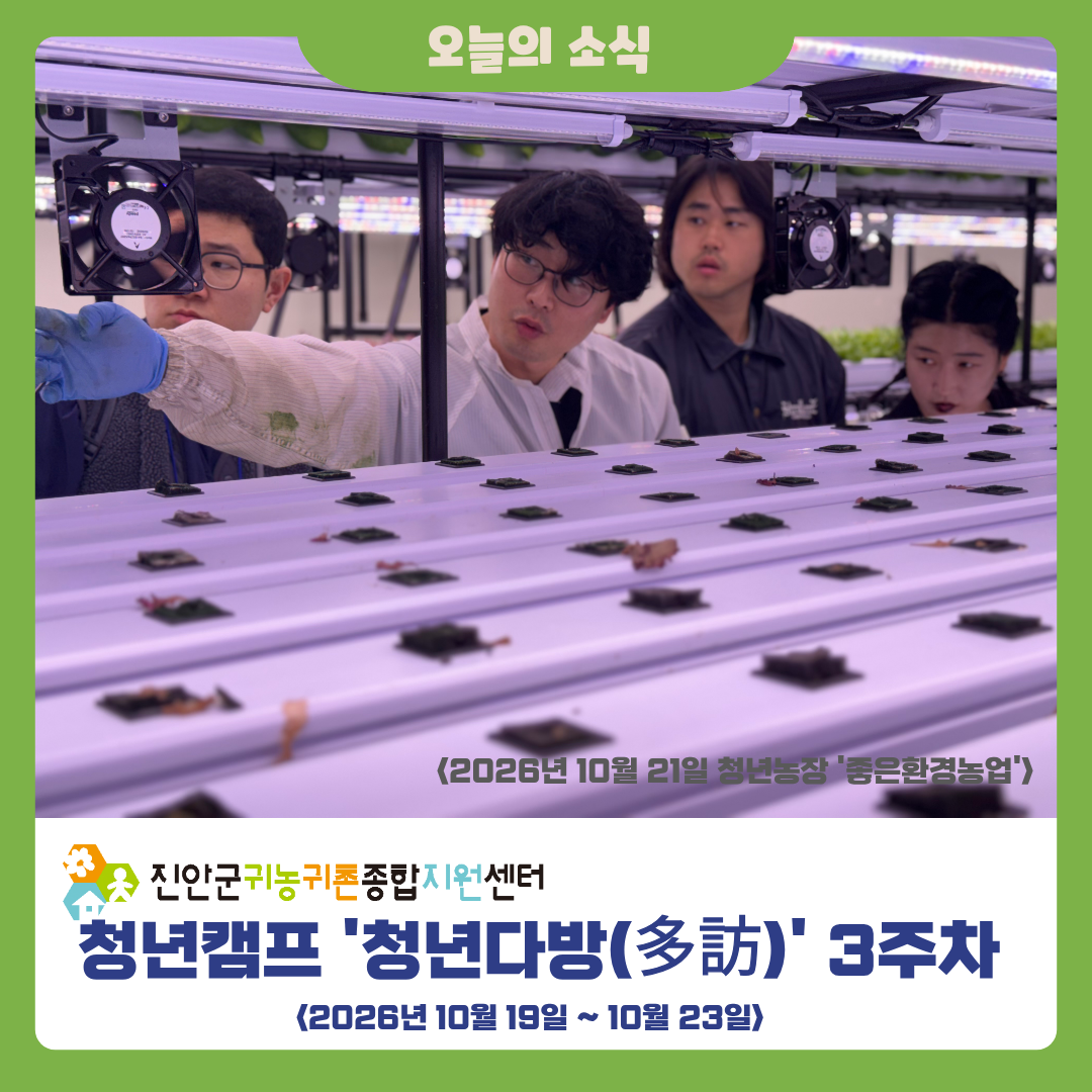 2026년 청년캠프 ‘청년다방’ 3주차 활동 소식
