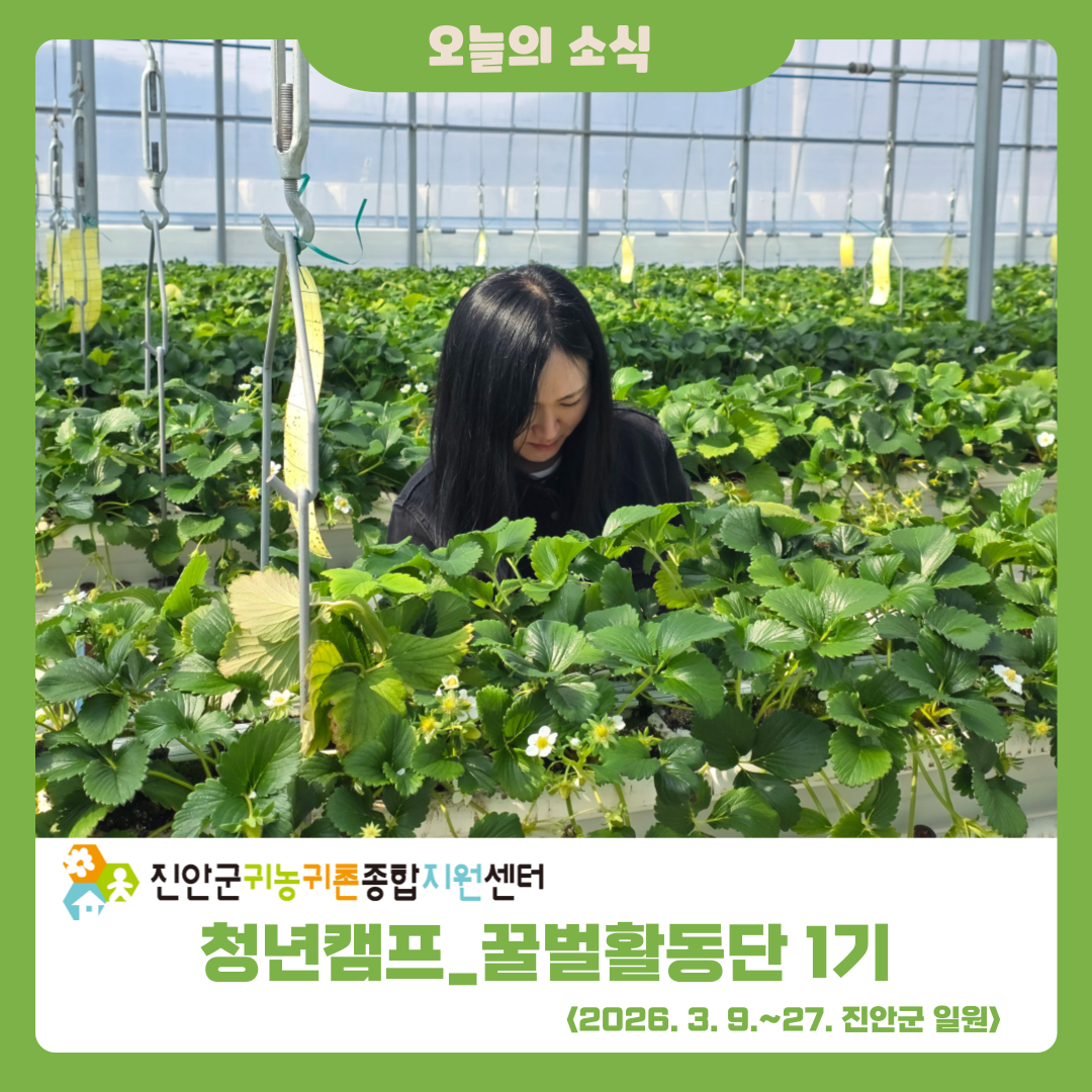 2026 청년캠프_꿀벌활동단 1기_2주차 활동 소식