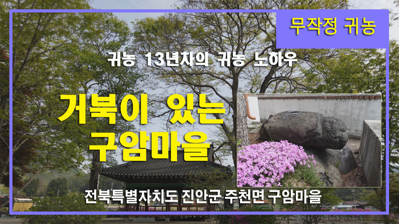 [영상] 시간이 천천히 흐르는 구암마을