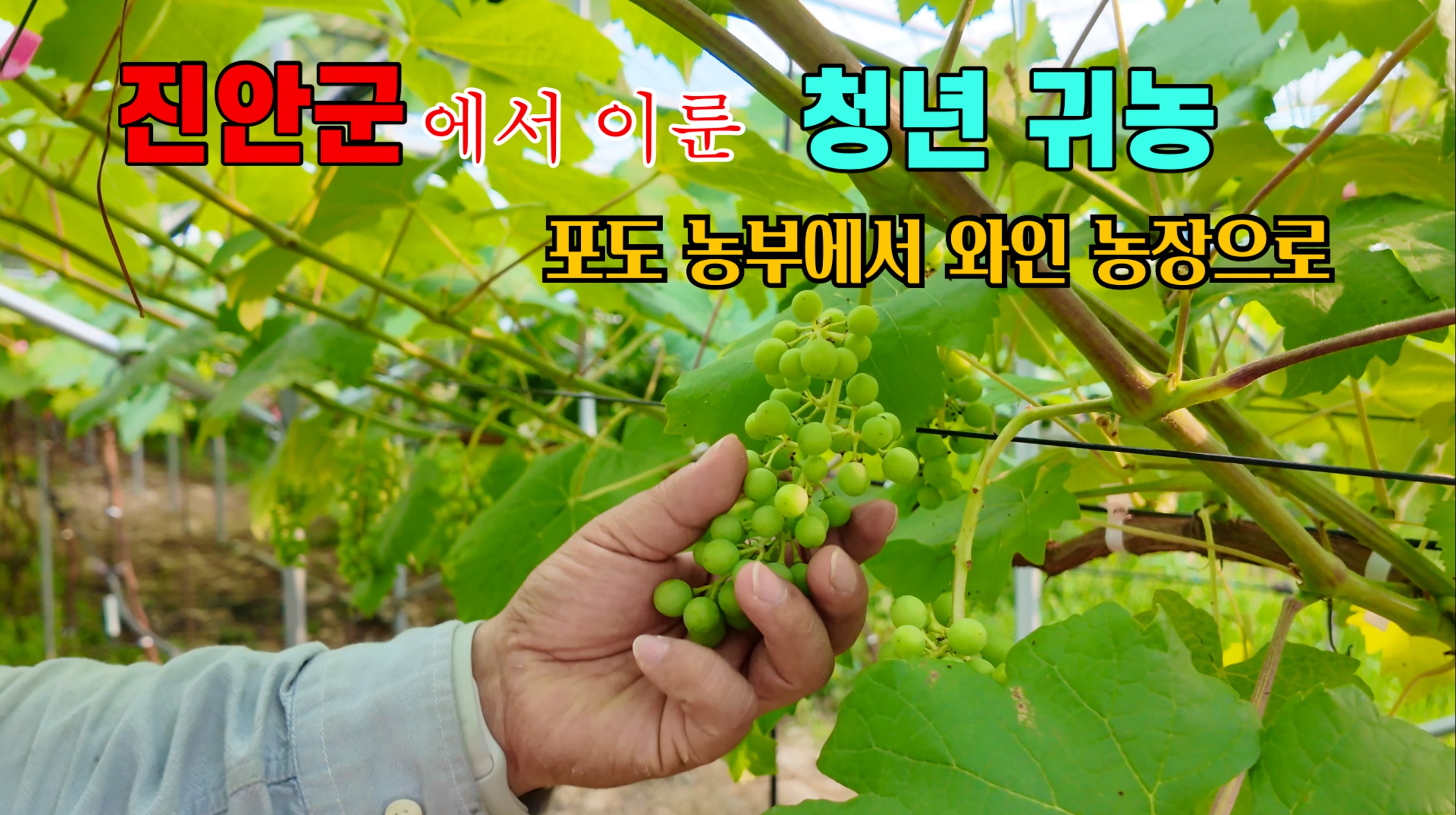[영상] 진안군에서 이룬 청년 귀농